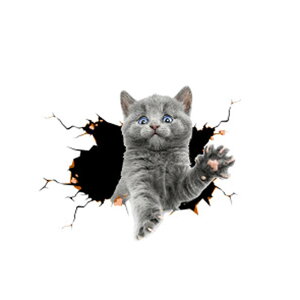 yzJunyueLiang J[ EH[XebJ[ XebJ[  L  pvc ǎ V[  CeA V[ ėp ϋv    X[cP[X p\R  J[Xe