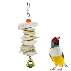 yzJg{[ CR  CJ̍  IE ނ ݂艺 JVE̕⋋   ZLZCCR IJCR