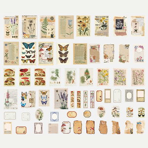 yzLUYINGR[W f 50 m[g^ fUCy[p[ 킢  p[`g fގ e m[g R[Wf AeB[N  xbh  A Ԏ i