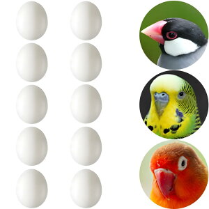 yzLYHMHAMY U vX`bN 10Zb  CR  g _~[ ZLZCCR  ɐBpi ɂHiTv DIY i  K[fjO ANZT[