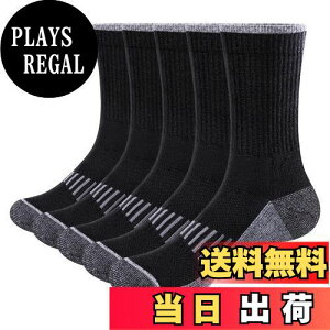 yz[YUEDGE] C Y St ejX [jO X|[c\bNX   z ʋC  bVN[C p25-27cm,5Zbg