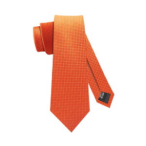 yz[fX] lN^C n IW \bh tH[} rWlX  ȒP 8cm ȐF  