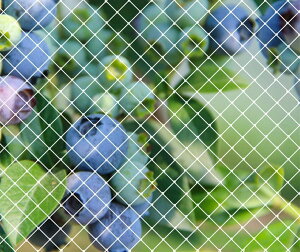 yzh lbg 悯lbg|lbg _Ɨpi ƒ؉lbg c [YANHAIDIDAI]ʎ h JX悯 ObY ʎhbhlbg LEh~΍ lbg