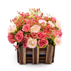 yzBEADY ~j_C[o lHϗtA  G} tFCNO[ CeA Mtg j (ԍ(), sN)