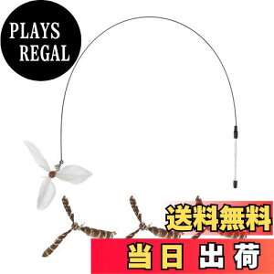 yzCAPASTEC ˂炵 L炵 L I` H  Lpߋ  Ԓ pH 3Zbg XgX  ^sƃXgX ނƕt O[+g[v