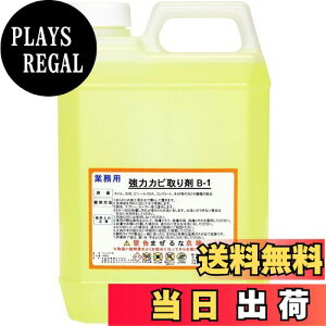 yz ̓Jr B-1 Ɩp ́ylߑւ^Cvz2000ml C  łȍJr