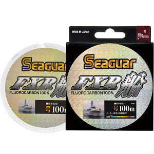 yzV[K[(Seaguar) nX V[K[ FXRD 100m 16