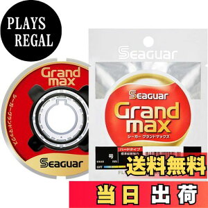 yzV[K[(Seaguar) nX V[K[ Oh}bNX 60m 2