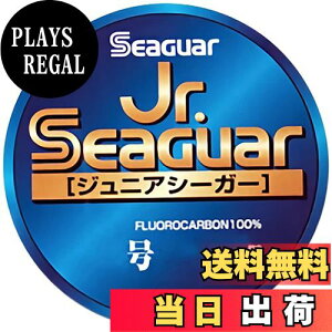 yzV[K[(Seaguar) nX Jr.V[K[ 45m 4