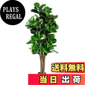 yzTANGKULA ϗtA tFCN KW} tFCNO[ ^ 150cm lHϗtA  CeA  O tFCNA lH ϗtA sv ͂Ȃ ~͐A (150cm)