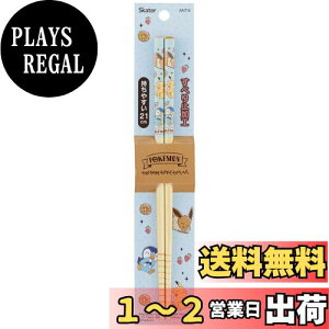 yzXP[^[(Skater) |S  | 21cm |PbgX^[ Cafe  ANT4-A