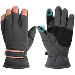 yz[CINECE] O[u AEghA  hEhEX}zΉEN  g h ~ ΍  ~ XL[ X|[c oR TCNO ʋ ʊw fB[X j