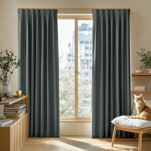 yzDeconovo J[e 1Ռ 2g 200×230cm  h[v `ԋL OK UVJbg {JSLF Ռ99.99% ̎΍ ȃGl Q rOp AWX^[tbNΉ _