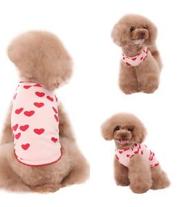 yz  n[g Vc XJ[g PetGround 킢  ^ t H~ ybg ^ (Vc sN, M)