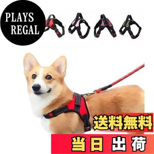 yz n[lX 킢   U ^ ^ ^ L  \tg iC Ԕ PetGround (XS, ubN)