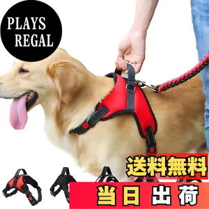 yz n[lX 킢   U ^ ^ ^ L  \tg iC Ԕ PetGround (XL, ubN)