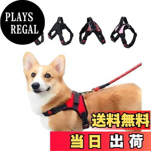 yz n[lX 킢   U ^ ^ ^ L  \tg iC Ԕ PetGround (sN, M)