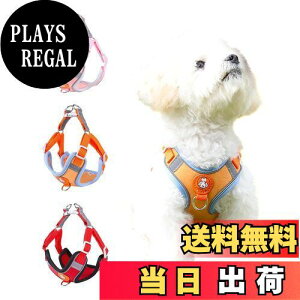 yz n[lX ^ ^ ps[pn[lX  ybgpi L ȒP Ԕ s⏕p \tg   h~ PetGround (IW, XXXS)