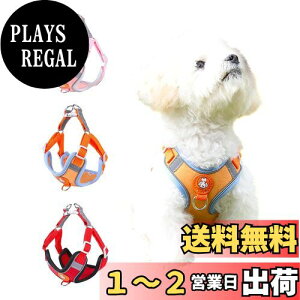 yz n[lX ^ ^ ps[pn[lX  ybgpi L ȒP Ԕ s⏕p \tg   h~ PetGround (sN, XXXS)