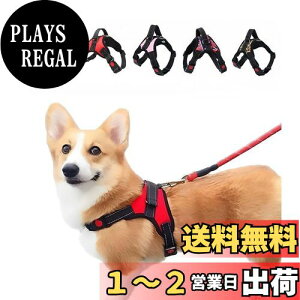 yz n[lX 킢   U ^ ^ ^ L  \tg iC Ԕ PetGround (qE, M)
