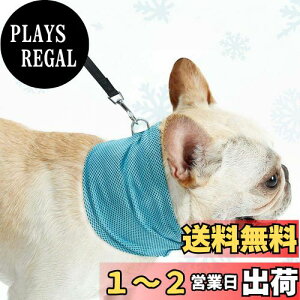 yzPetGround  N[lbN G炷 o_i ΍  MǑ΍  Ђ Ђ^I ĕ ⊴ ^ ^ ^ (u[, L)