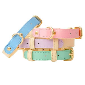 【送料無料】PetGround 犬 首輪 革 中型犬 おしゃれ レザー 可愛い パステルカラー 迷子札 軽量 丈夫 耐久性 犬の首輪 (スカイブルー、M)