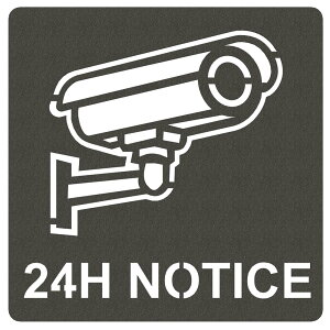 【送料無料】AllBright ピクトグラム シート ステッカー ピクトサイン ルームサイン ドアサイン マーク 施設 (防犯カメラ作動中)