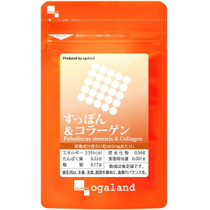 yzI[Kh (ogaland) ۂ&R[Q (60 / 1) eT|[g NT|[g (tBbVR[Q/EPA/r^~E) Tv Tvg