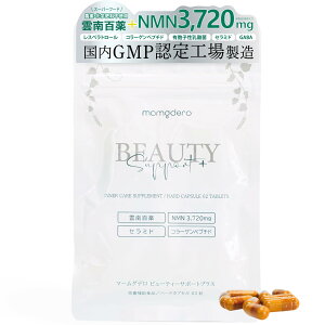 yzNMN Tvg }[Of r[eB[T|[gvX 62 { GMPFH Xxg[z Z~h R[Q؃v`h GABA ͂ _ _S 