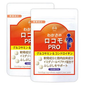 yzyz 킩 킩̃RPRO 2܃Zbgi93 × 2܁j ؓ z