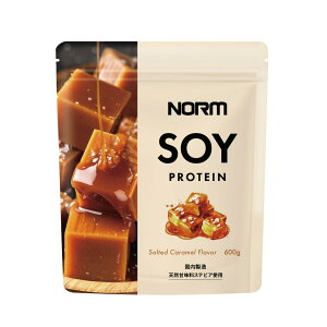 【送料無料】NORM ソイプロテイン 塩キャラメル味 600g 植物性大豆プロテイン100% アミノ酸スコア100 低脂質 高たんぱく 人工甘味料不使用 国内製造 ダイエット 筋トレ 女性 男性