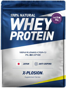 【送料無料】エクスプロージョン プロテイン 3kg ホエイプロテイン カシス味 WPC X-PLOSION 日本製造
