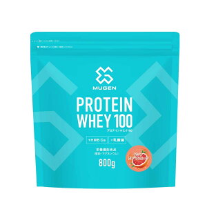 yzPROTEIN WHEY 100 sNO[vt[c 800g×1 ؃gő剻HMBJVE _100̃veCpE_[