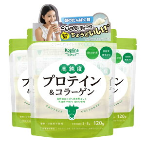 yzxveCR[Q 120g 3ZbgyWPI/zGCveCAC\[g/v[/At[o[/Ȃ/LpE_[/ÂȂ/ᎉ/[/R[Qyv