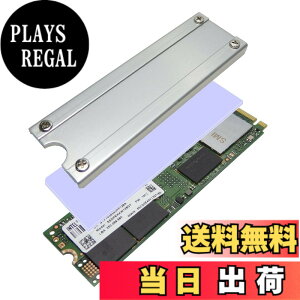 �y���������z�e�a�Y�� �������쏊 M.2 SSD�p�q�[�g�V���N�J�o�[SS-M2S-HS02