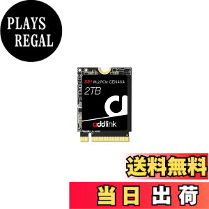 �y���������zAddlink ��p�� S91 2TB 2230 M.2 SSD NVMe PCIe Gen4x4 3D NAND ����SSD, Steam Deck/ASUS ROG Ally�Ή� - ����SSD���x�ō�5000 MB/�b - (aJP2TBS91M2P)