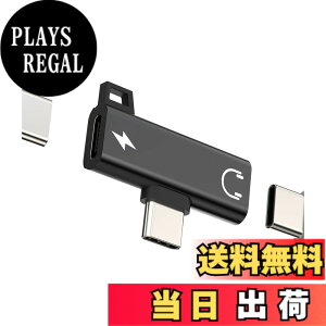 �y���������z�^�C�vc�C���z���W���b�N�ϊ��퓯�����イ�����[�d �A�_�v�^�[(2in1)�Ή�Apple iPhone 15 Pro Max Plus �Ή�iPad Pro Air �Ή�Sony Xperia �Ή�Samsung DAC Type-c Aux �}���[�d �ϊ��@ USB C �h���O�� �I