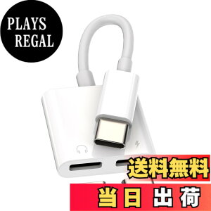 �y���������z�^�C�vc�C���z���W���b�N�ϊ���Ή�Apple iPhone 15 Pro Max Plus �Ή�iPad Air Mini (2in1)�������イ�����[�dUSB C�I�[�f�B�I�A�_�v�^�[�w�b�h�t�H���P�[�u���R�l�N�^DAC Type-c Aux�}���[�d��