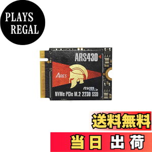 �y���������zDATO �_�gSSD 2230 1TB, M.2 SSD NVMe PCIe Gen4 x4 �A���~���q�[�g�V���N����, Steam Deck ROG Ally�Ή�, �����\���b�h�X�e�[�g�h���C�u �Q�[���ƃN���G�C�^�[�p �ǂݎ��ő�5000/3200MB/�b (ARS430)