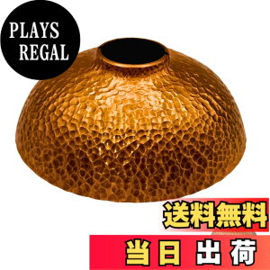 �y���������zFOREST HOME �����^���V�F�[�h 38explore �S�[���[�� �Ή� �^�J�� �b����Ɩڎd�グ �A�E�g�h�A�p�Ɩ��b223g �d�����E�^�J�����v�V�F�[�h (�A���e�B�[�N���F)