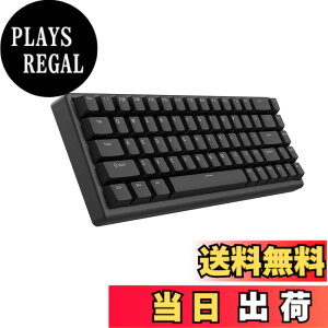 �y���������zArbiter Studio �Q�[�~���O�L�[�{�[�h ���s�b�h�g���K�[�Ή� ���C�X�C�b�` TENKO Polar 65 + �A���~�t���[�� 65% Just Black ���{���K�㗝�X�i