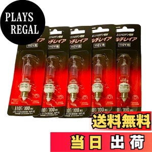 �y���������z�p�i�\�j�b�N(Panasonic) JD110V 85W�ENP/E 5����