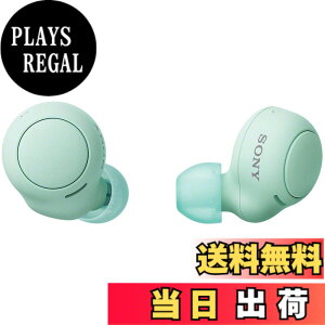 �y���������z�\�j�[(SONY) ���S���C�����X�C���z�� WF-C500 : /�y�ʏ��^5.4g/�����x�ʘb�i��/�ȒP�y�A�����O/IPX4�h�H���\/�A�C�X�O���[�� WF-C500 GZ
