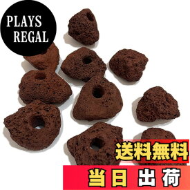 【送料無料】S-NET 溶岩 石 火山 岩 水槽 穴あき オブジェ 10個 セット アクアリウム 飾り レイアウト 5cm 100g 前後 床 水草 SN-299-AY 赤