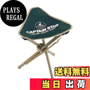�y���������z�L���v�e���X�^�b�O(CAPTAIN STAG) �`�F�A CS �O�r �`�F�A �O���[�� M-3876