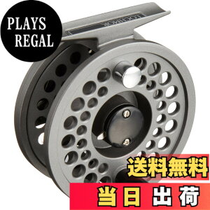 �y���������z�_�C��(DAIWA) ���b�z���AA 200A �t���C���[�� �O���[