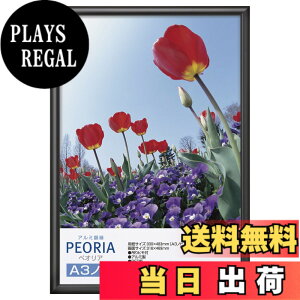 �y���������z�n�N�o HAKUBA �A���~�z�� �y�I���A A3�m�r�T�C�Y �u���b�N �|�X�^�[�t���[�� �t�H�g�t���[�� �O��PET�� �݂�R�t��FAPE-BKA3N