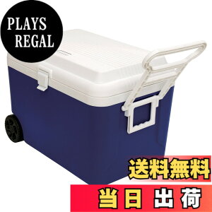 �y���������z�L���v�e���X�^�b�O ���K�[�h�z�C�[���N�[���[60L(�u���[) M-5060