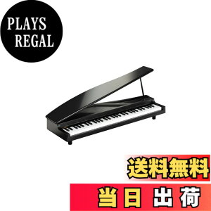 �y���������zKORG MICROPIANO �}�C�N���s�A�m �~�j����61�� �u���b�N 61�Ȃ̃f���\���O���� �������t�\