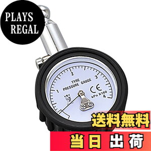 �y���������z�f�C�g�i(Daytona) �o�C�N�p ���^�G�A�Q�[�W �w�b�h��] �����[�X�o���u�t�� 64045